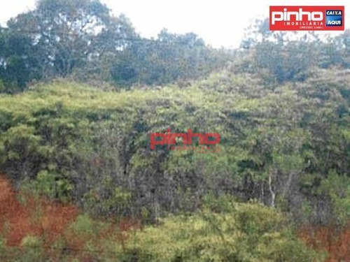 Imagem 5 de 6 de Terreno À Venda, 2130 M² Por R$ 136.750,00 - Jardim Janaína - Biguaçu/sc - Te0004