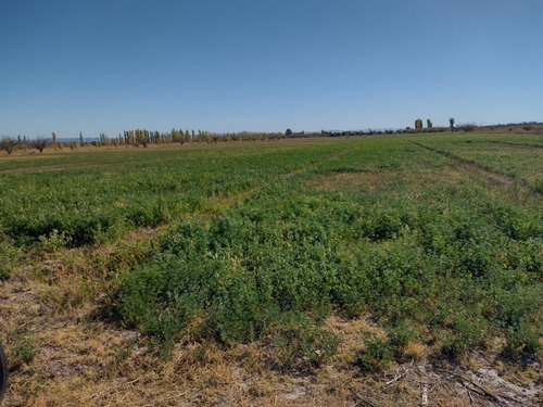 Vendo Finca Campo Potreros Pasturas Cañada Seca