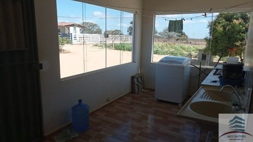 Imagem 5 de 18 de Granja A Venda Lagoa Nova