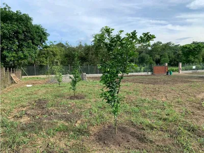 Lote y casalote en venta