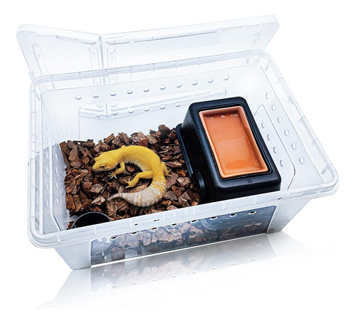 Hamiledyi Reptile Breeding Box Set Portable Gecko Feeding Ha