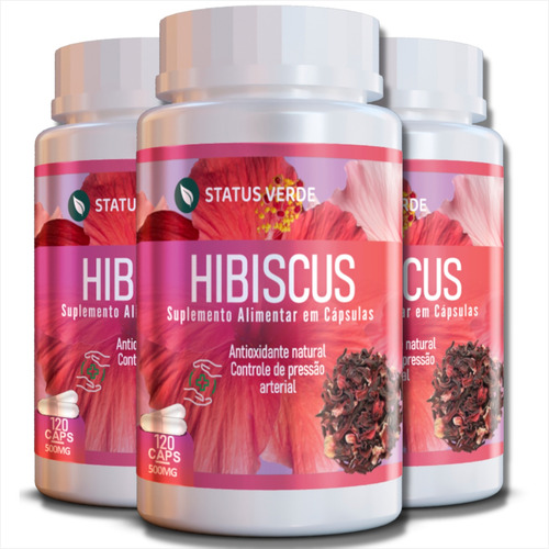 3 Potes Extrato De Hibisco 500mg 100% Natural - Kit 360 Cáps Sabor