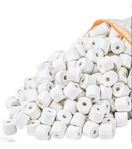 Comprar Canutillos Anillos Cerámicos Filtrado Acuarios 1000 G