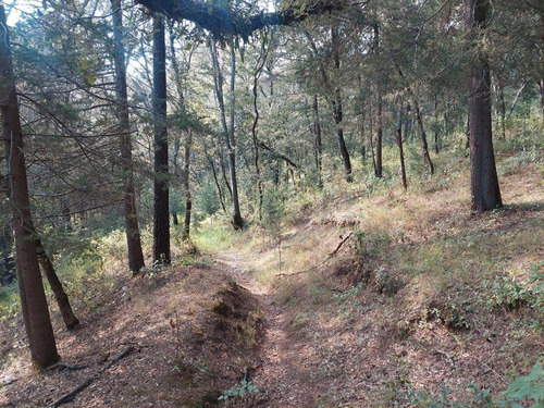 Terreno En Jilotzingo