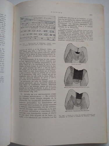 Histología Y Embriología Dentaria De Jorge Erausquin (Usado)