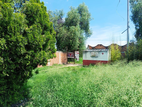 Propiedad En Renta/venta Camino A San Jose De Los Mendoza San Juan De La Vega Celaya