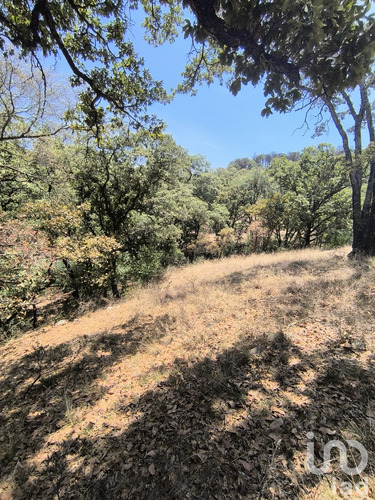 Venta Terreno 0 Ambiente La Piní