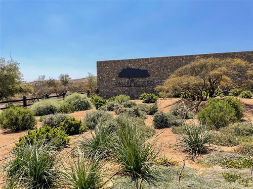 Imagen 6 de 29 de Sitio En 3 Has En Venta - Catapílco, Zapallar