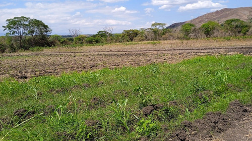 Imagen 14 de 14 de ¡venta! Lote De Terreno En Cúa