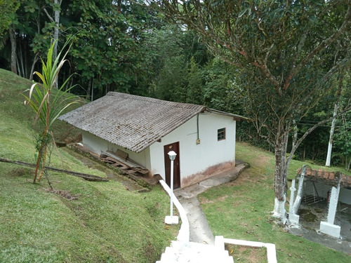 Imagem 6 de 17 de Chácara Em Juquitiba Com Piscina 6.388 M²