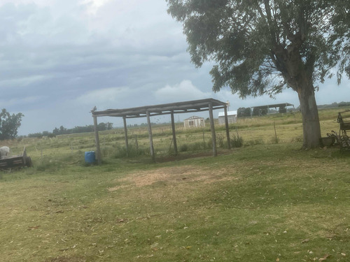 Campo En Venta De 5.28 Hectáreas En San Andrés De Giles