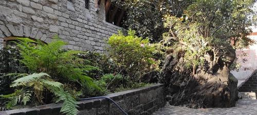 Bosque De Tlalpan, Casa En Venta O Renta