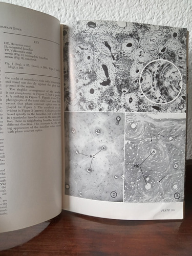 Atlas Of Descriptive Histology - Reith / Michael H. Ross (Usado)