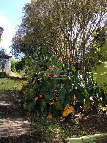 Imagem 10 de 13 de Chácara Com 5 Dormitórios À Venda, 2000 M² Por R$ 330.000,00 - Zona Rural - Paraibuna/sp - Ch0737