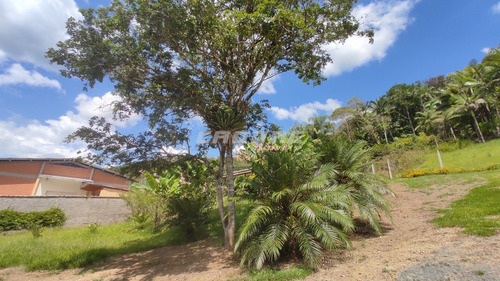 Imagem 21 de 24 de Linda Casa Com Piscina E Com Uma Vasta Área Verde, No Progresso!! - 3052321v