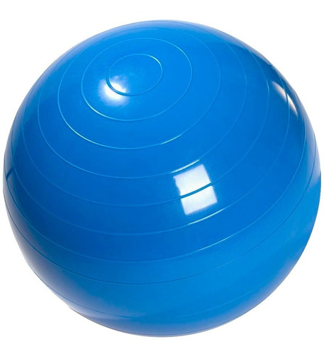 Danskin 65 Cm Balon Pelota Suiza Yoga Pilates Original 