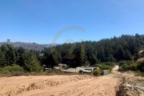 En Venta Parcela Los Pinos Reñaca Viña Del Mar