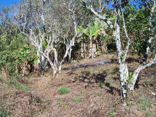 Imagen 2 de 7 de Terreno Lagunetica Sector El Manantial, Los Teques Wm