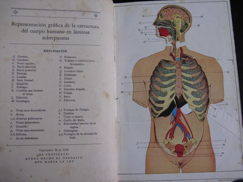 Mercurio Peruano: Libro Guia  De Salud  680p L8 Mn0dd