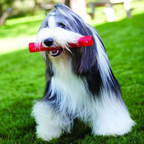 Imagen 4 de 8 de Kong Squeezz® Stick - Large