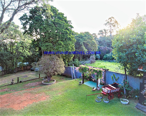 Imagem 26 de 30 de Terreno - Te00069 - 70833277