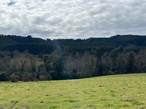 Se Vende Proyecto Aprobado Por Sag Panguipulli Los Lagos