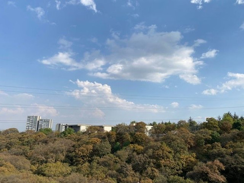 Imagen 7 de 15 de Venta Departamento Inmerso En Bosque