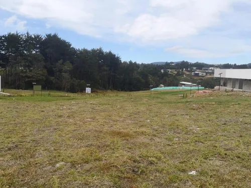 Lote En Venta En Palmas. Cod V3110