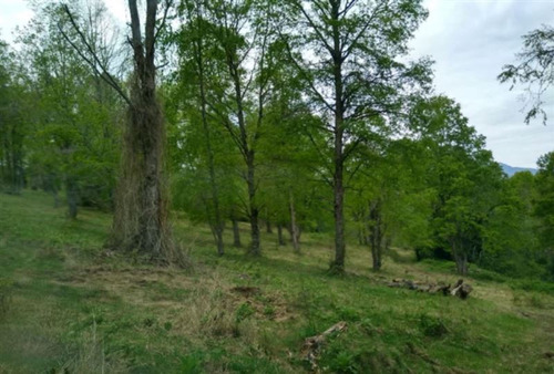 Agrícola Campo O Inmobiliario Loteo En Venta En Panguipulli