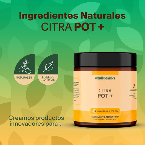 Citrato De Potasio Suplemento 60 Cápsulas | Vitalbotanics