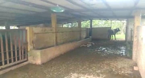 Imagen 6 de 12 de Venta Hermosa Finca En El Junco Estado Tachira