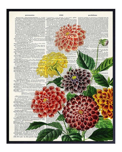 Dahlias Nature Dictionary Wall Art Print - Ready To Frame (.