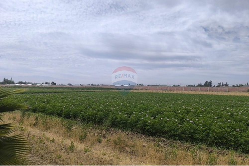 Venta De Terreno De 53.000 M2 En Lampa