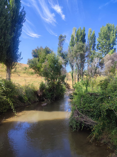 Venta De Terreno Agricola En Santa Juana
