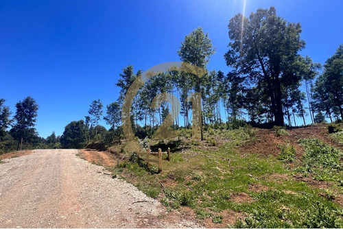 Parcelas A 15min De Villarrica Crédito Directo