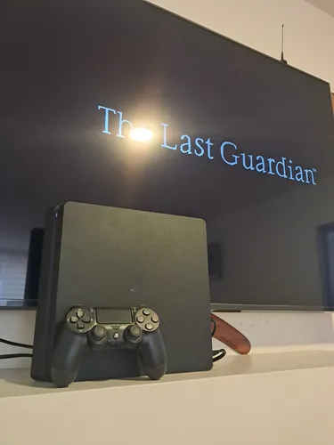 Ps4 Slim Programada 11.0 Hen (Usado)