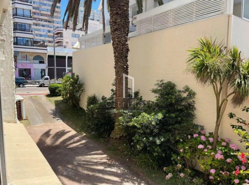 Apartamento De 1 Dormitorio Para Alquilar En Peninsula