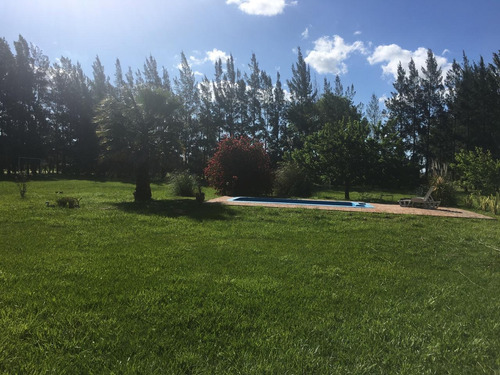 Imagen 4 de 11 de Casa Quinta En Alquiler (barrio El Rodeo)