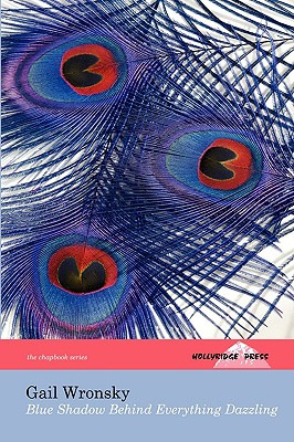 Libro Blue Shadow Behind Everything Dazzling (the Hollyri...