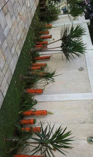 Casa, 630 M² - Venda Por R$ 1.400.000,00 Ou Aluguel Por R$ 7.000,00/mês - Roseira - Mairiporã/sp - Ca0465