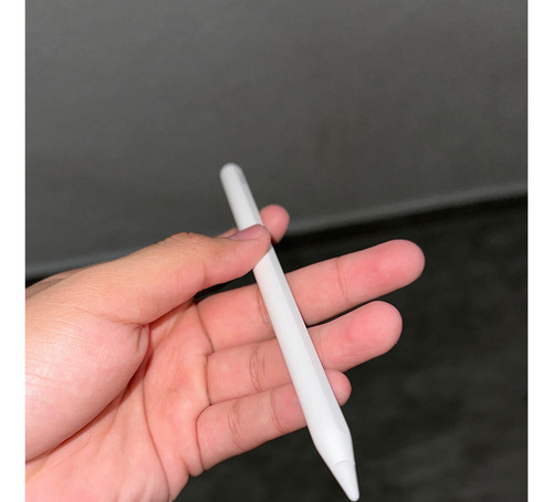 Apple Pencil 2a Gen Original (Usado)