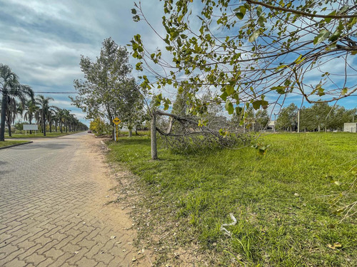 Imagen 5 de 12 de Lote Sobre Boulevard Principal Apto Comercial