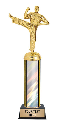 Karate Male Silver Trophy Awards