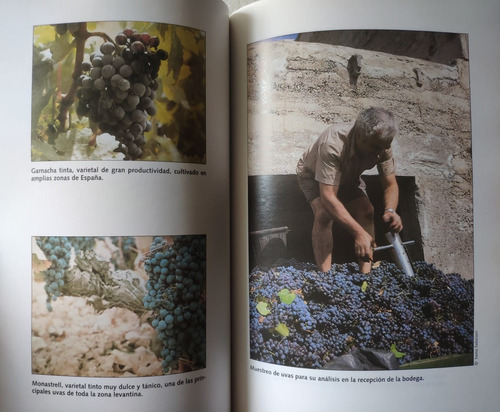 El Nuevo Libro Del Vino - Carlos Delgado - Alianza Editorial (Usado)