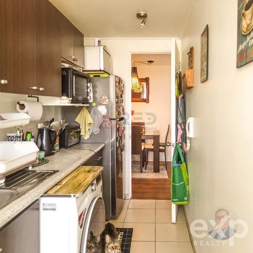 Departamento En Venta Lago Zenteno, Viña Del Mar