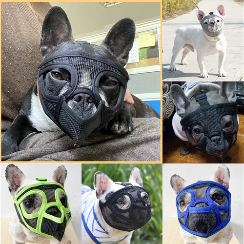 Bozal Para Bulldog Francés, Perro De Hocico Corto, Sin Corte