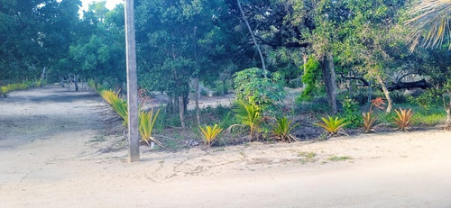 Imagem 3 de 23 de Terreno À Venda Em Arraial D'ajuda - Porto Seguro, Terreno Plano Com Área Limpa Pronta Para Construção, Ponto De Água, Energia, Área De Lazer E Playground