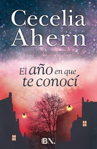 El Aã±o En Que Te Conocã­ - Ahern, Cecelia