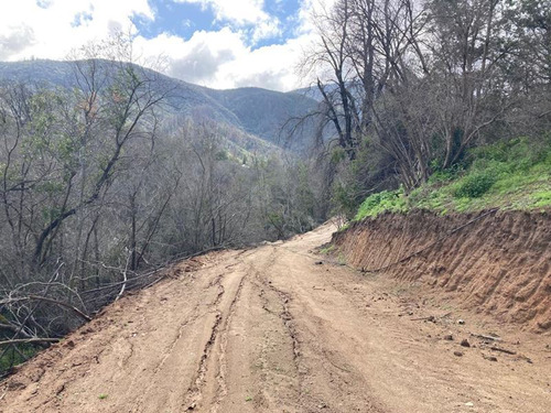 Agrícola En Venta En Curacaví