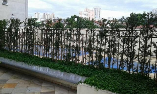 Imagem 9 de 22 de Apartamento - Ref: 6649